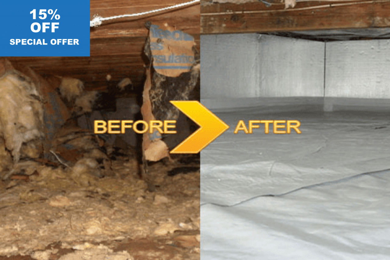15% Off on Attic & Crawl Space Clean Up
