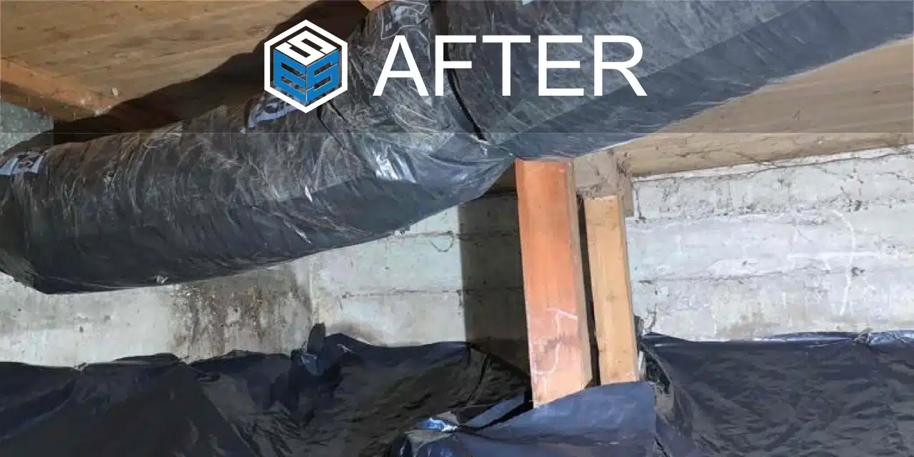 Crawl space clean up & Air duct insulation project in Renton