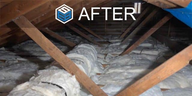 AFTER - Attic Rodent proofing - Tacoma, WA 98443