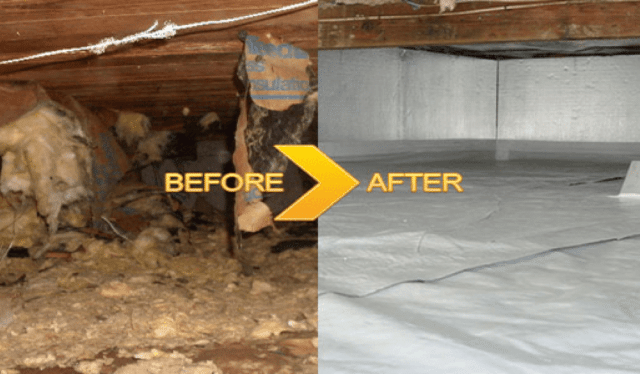 Crawl Space Clean-Up Steps - EnviroSmart Solution