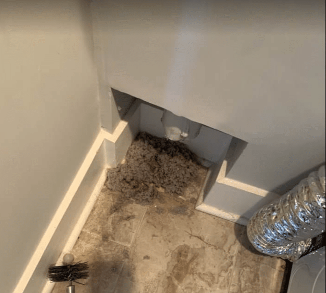 The Importance of Cleaning Your Dryer Vent