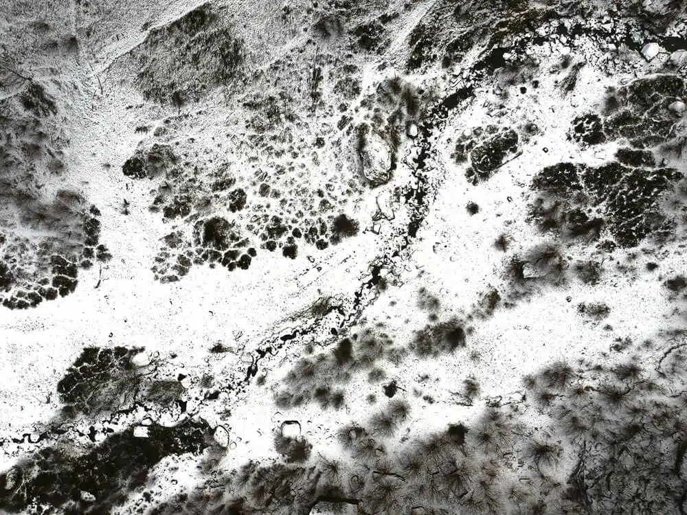 Black mold on a white wall